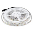 Ruban LED rouge 4,8W/m 5M 12V