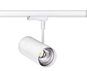 ARIC 51862 - Evoli Cct - Proj. Rail 3 All.023, Blanc, Led 36° 10W Cct 3000/4000K 930Lm