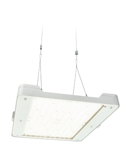 [PHI408336] GentleSpace gen3 GreenWarehouse BY481X LED250S_840 WB G 408336 Philips