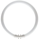 Ampoule Circline T5 55W Blanc 4000°K 2GX13 Ø16mm fluo Circulaire fluorescent